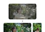do professional video color grading and color correction